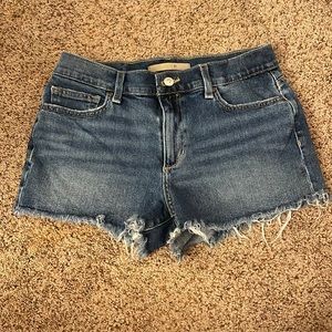 Joe Shorts